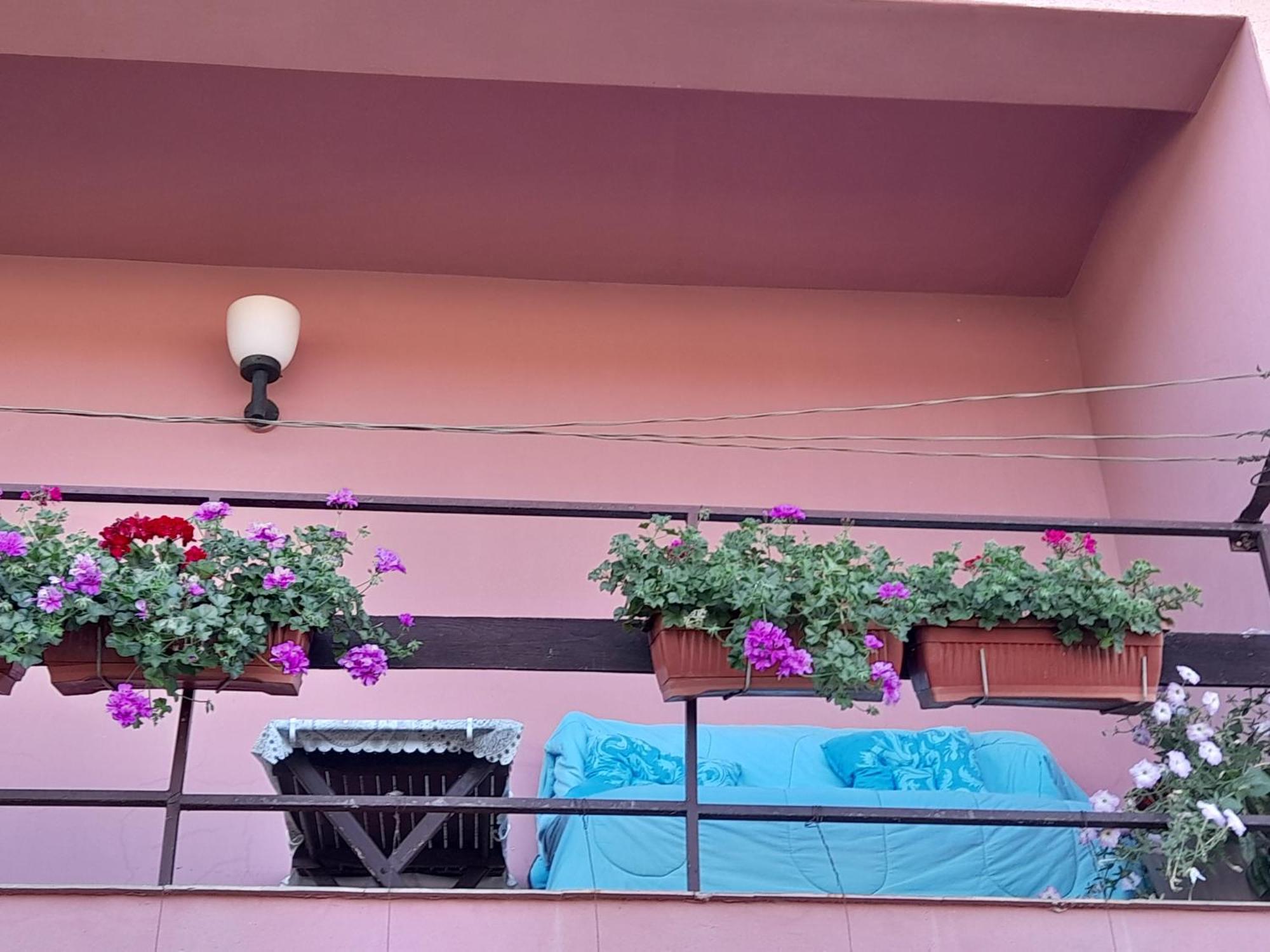 Soba Lavanda Kladovo Ngoại thất bức ảnh
