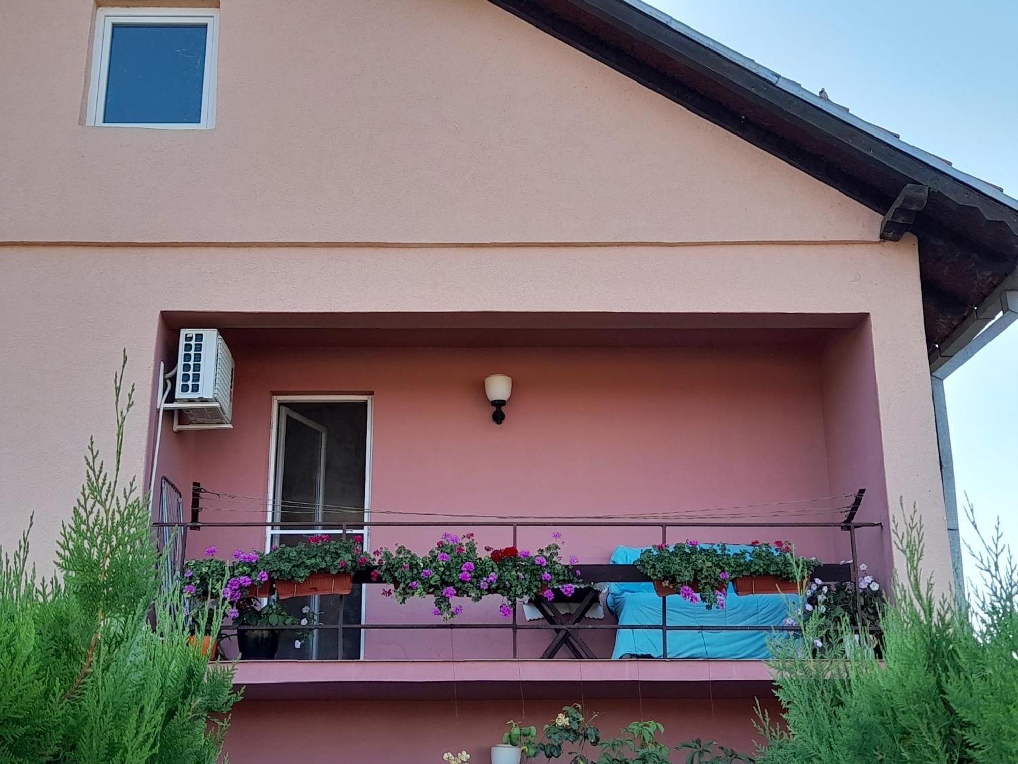 Soba Lavanda Kladovo Phòng bức ảnh
