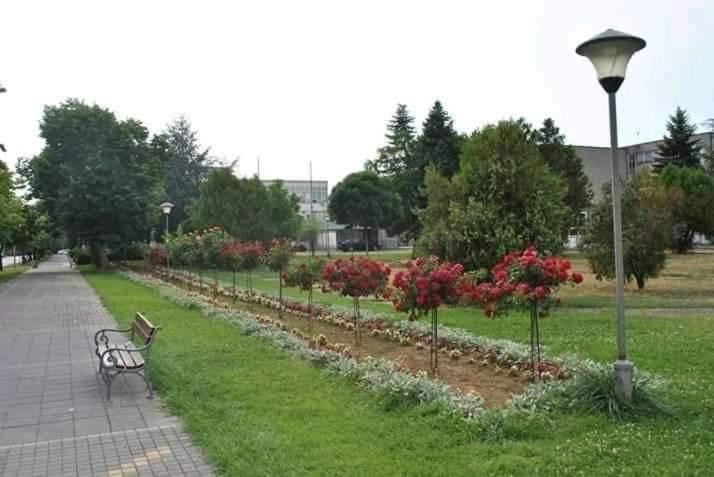 Soba Lavanda Kladovo Ngoại thất bức ảnh
